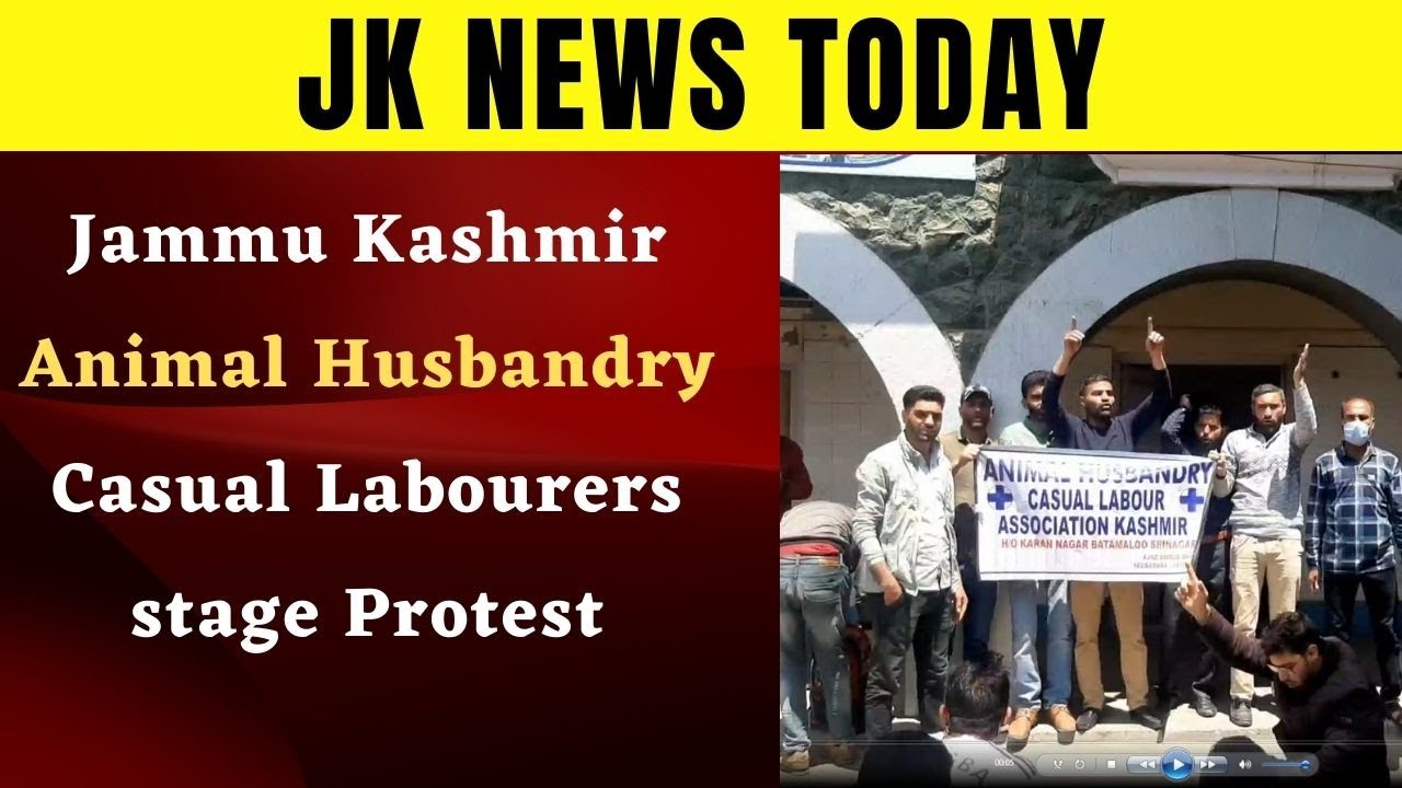 Jammu Kashmir Animal Husbandry Casual Labourers stage Protest - JK News  Today