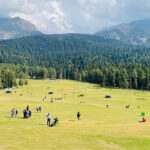 Consectetur adipisicing elit